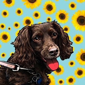 Meet your Posher, Zoe